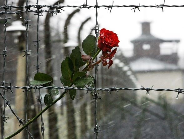 Холокост – одна из величайших трагедий в истории человечества.